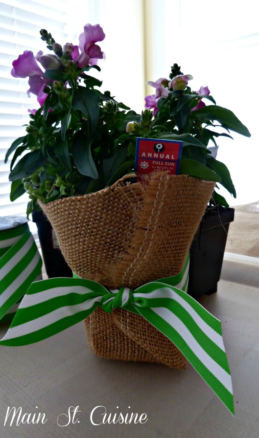 snapdragon wrapped in burlap and ribbon
