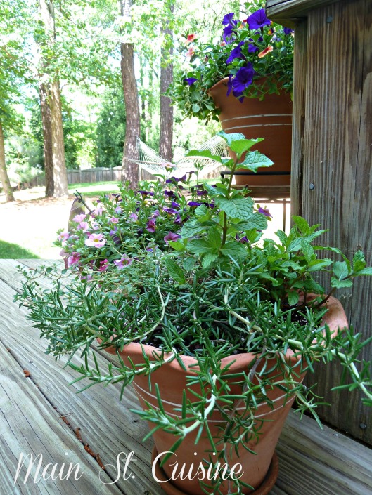 herb garden in a container